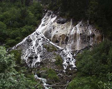 La cascade des poux