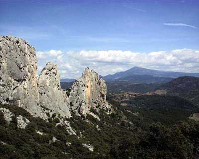 Dentelles & Ventoux