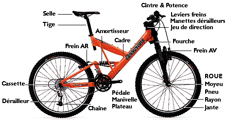 Termes français du VTT