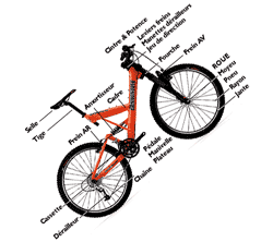 Techniques, lexique, position sur un VTT