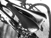 Selle Italia Trans AM XO